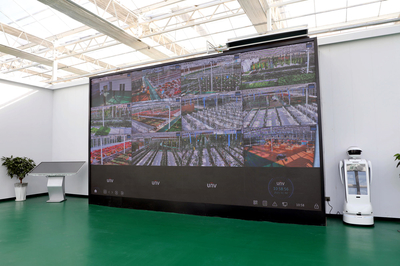 【新春走基层】物联网智能设备赋能“智慧农业”，擘画乡村振兴新图景